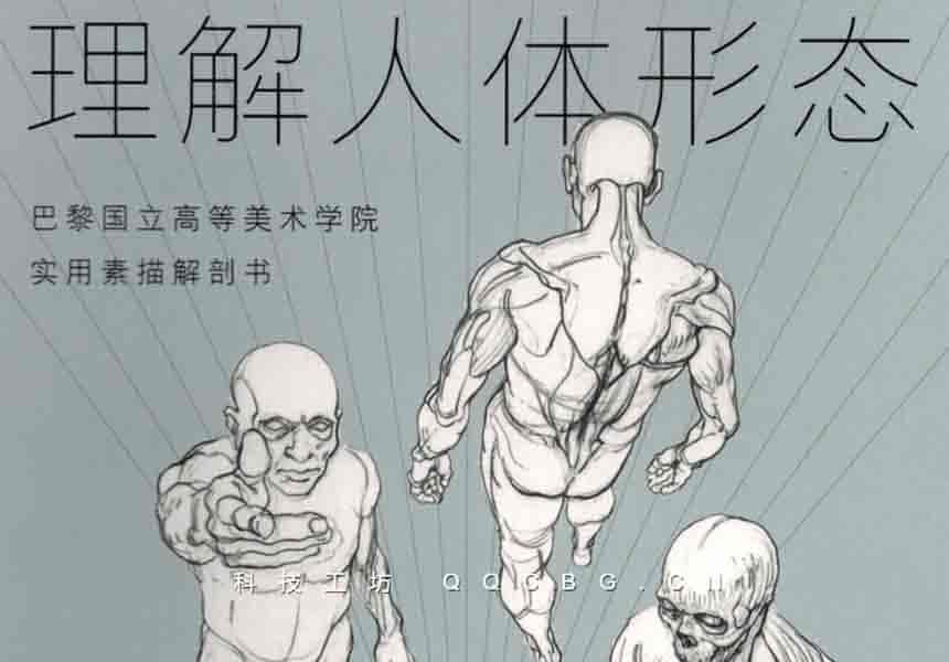 1+理解人体形态素描解剖书人体形态素描速写结构参考