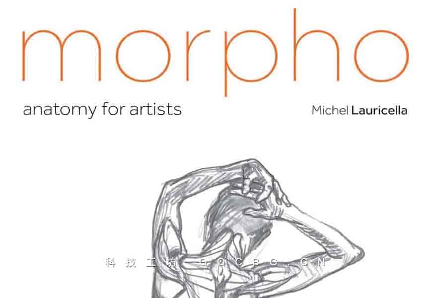 8+Morpho艺用解剖学系列骨骼肌肉动态学习