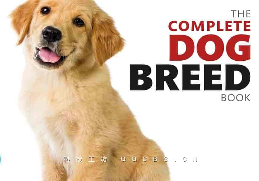 355+The Complete Dog Breed Book DK 世界名犬驯养百科