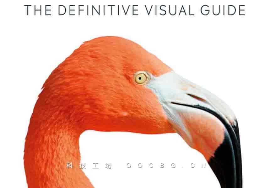 514+Bird The Definitive Visual Guide 《鸟类：权威视觉指南》