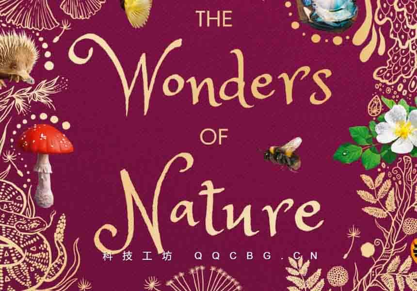 226+The Wonders of Nature 世界自然奇观全探索