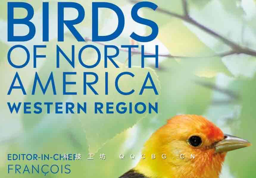 480+AmnhBirdsofNorthAmericaWestern北美西部鸟类