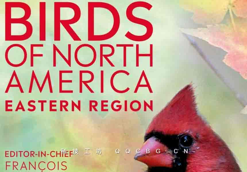 480+BirdsofNorthAmericaEasternRegio北美东部鸟类
