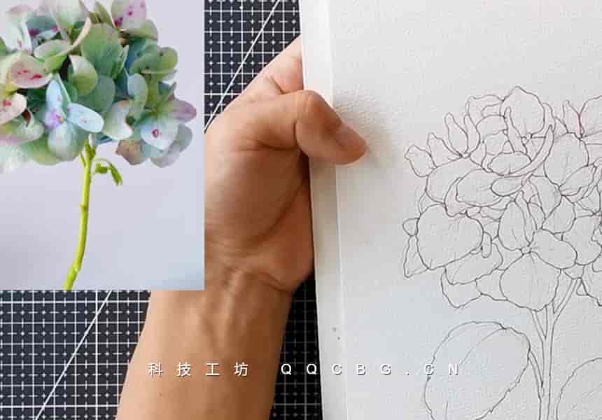 24+拓山明淡彩插画花卉课清新淡雅的花卉绘制艺术