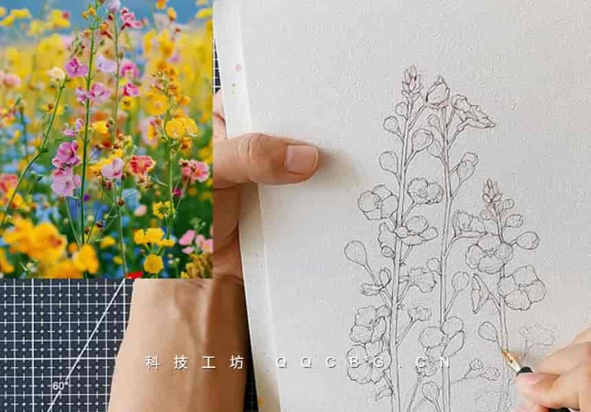 80+拓山明钢笔淡彩手绘插画系统课（全系列）