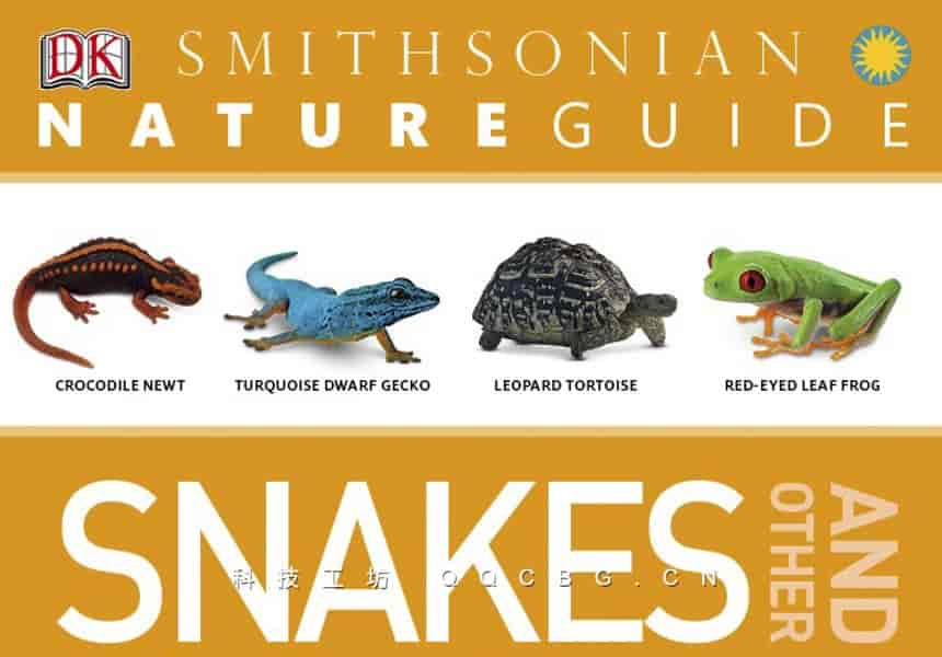 354+SnakesandOtherReptilesandAmphibians全球爬行动物与两栖动物视觉指南